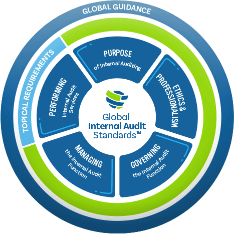 International Professional Practices Framework (IPPF) 